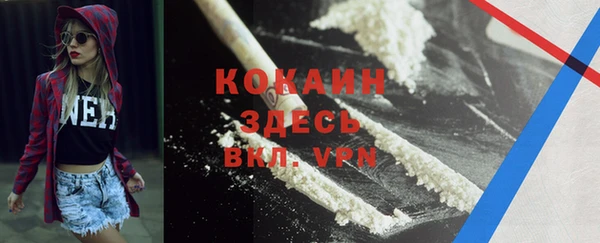 твердый Балахна