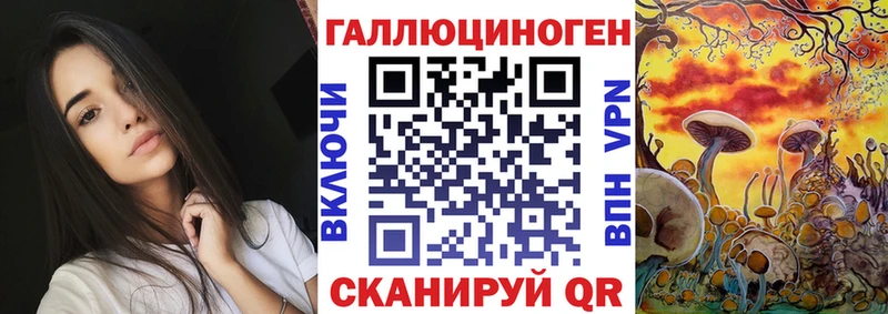 OMG зеркало  как найти закладки  Светлый  Псилоцибиновые грибы Psilocybe 